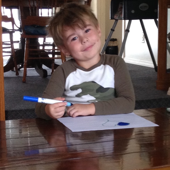 Meet your Posher, Misty - Picture 1 of 1